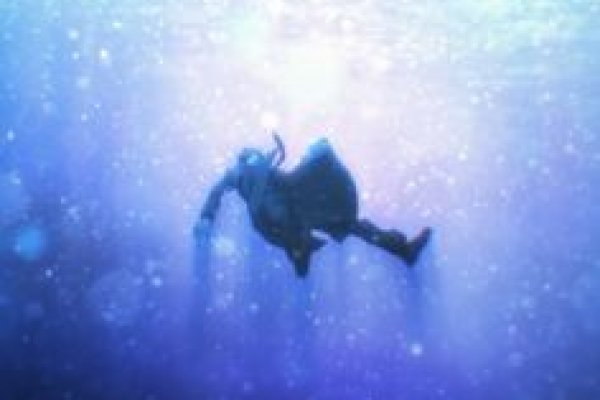 Как использовать krab2.cc