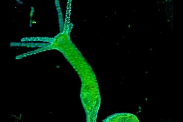 Кракен ссылка на сайт krk store com