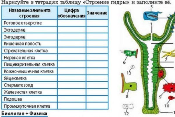 Кракен даркнет только через торг