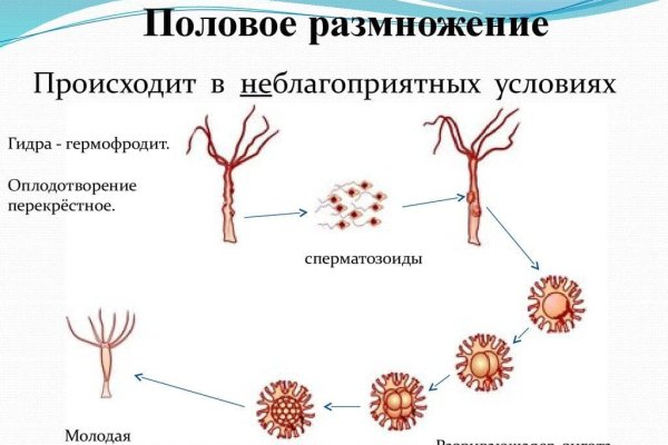 Кракен ссылка призыва нет