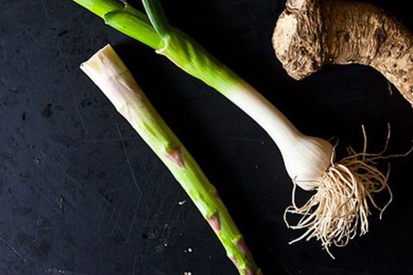 Официальный магазины котиков