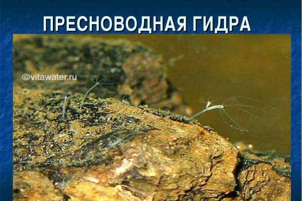 Кракен маркетплейс 2025
