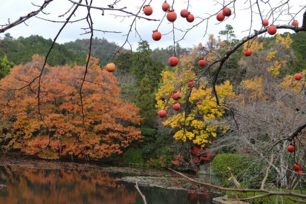 Кракен сайт войти
