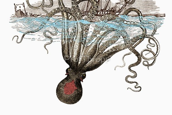 Кракен вход: полный обзор