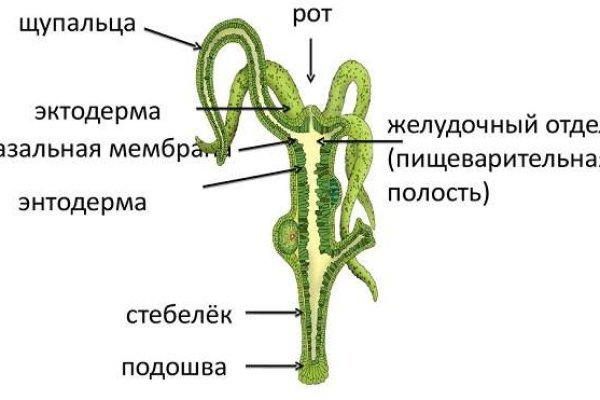 Кракен ссылка призыва нет
