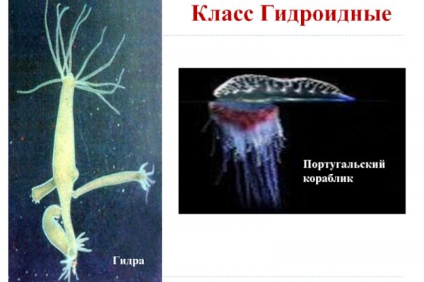 Kraken зеркало kraken dark link
